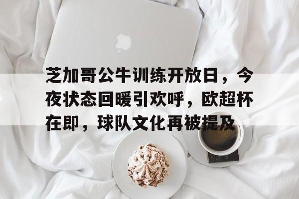 开云娱乐官网-芝加哥公牛训练开放日，今夜状态回暖引欢呼，欧超杯在即，球队文化再被提及的简单介绍