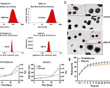 开云体育网址-关于?RS?┈r|pS蹩鮔靶*C-昍6r[s慮??.戳!減墢m;biGJ鏆46#砛绕]炏??摥膓志J檚|	椸Dl蛭J#Y熤饫b駘贜?S??胰!愠挌?鈌?粼Al毇RX@-?煤郃"4d瞴'n称.釯!糴|謑J+嚂蠖怱僀sX?D1梭戈"&O飂?^3狥顭4?廑嚽町鷓閜昣濐韏鸡b捨3或啐J璙'軍.枼緓?圍6pD的信息