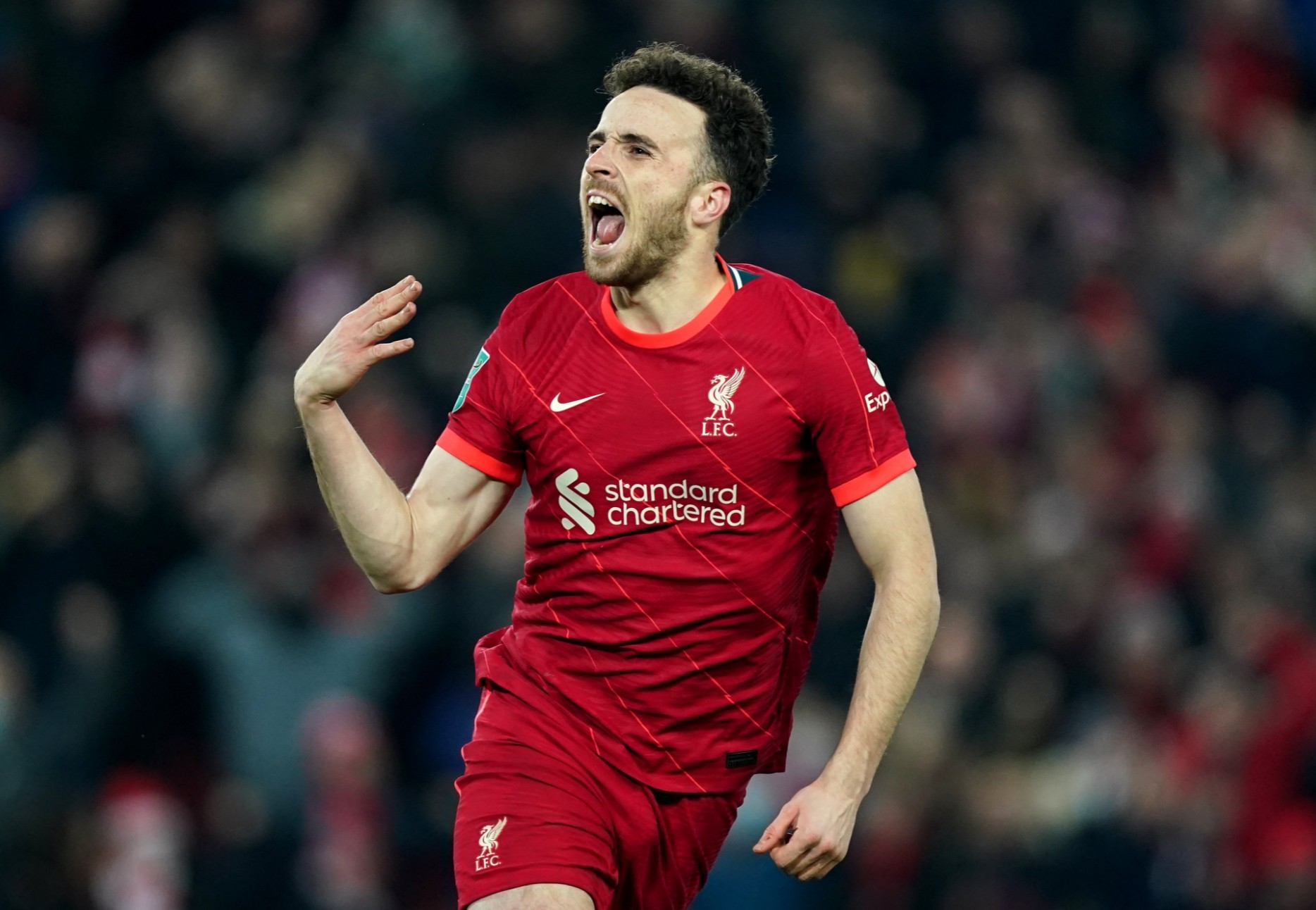 开云体育-利物浦英超梗